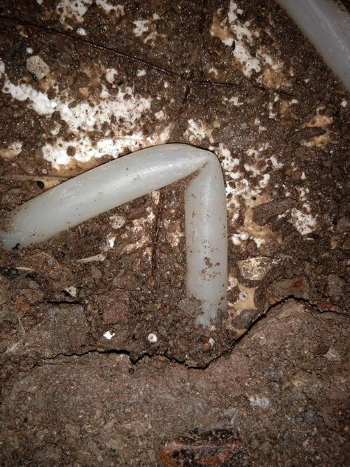 博野堵点精准查找